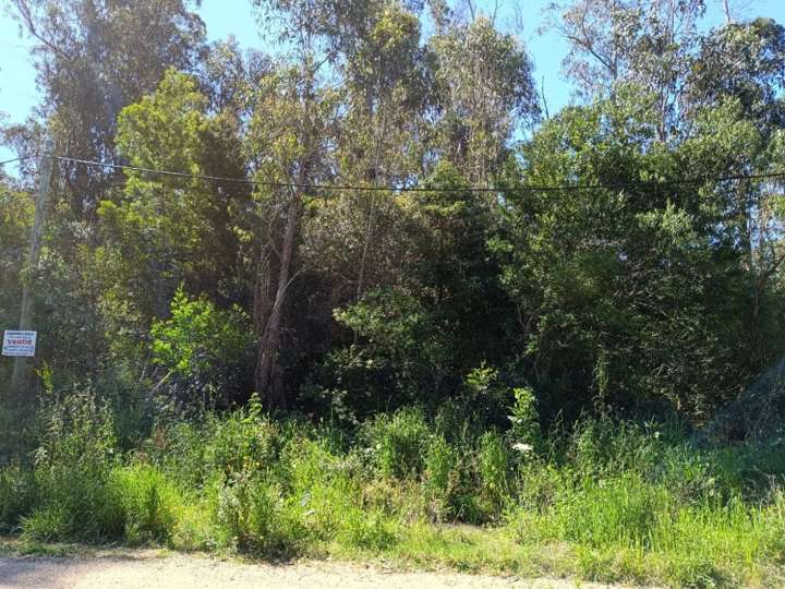 Terreno en venta en Yosemite, Maldonado