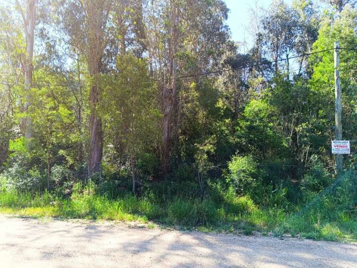 Terreno en venta en Yosemite, Maldonado