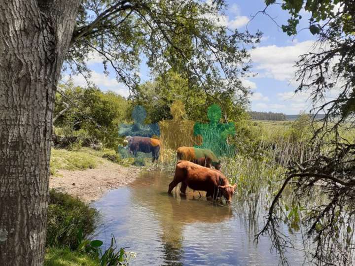 Granja en venta en Maldonado