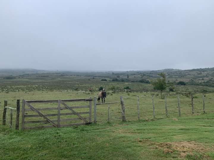 Granja en venta en Aiguá