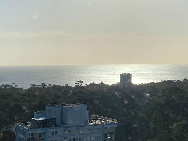 Apartamento en venta en Avenida Franklin Delano Roosevelt, Punta Del Este