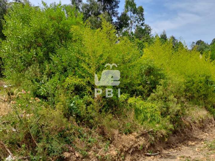 Terreno en venta en De Las Madreselvas, San Rafael - El Placer