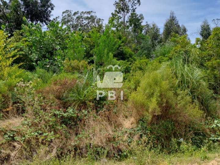 Terreno en venta en De Las Azaleas, San Rafael - El Placer