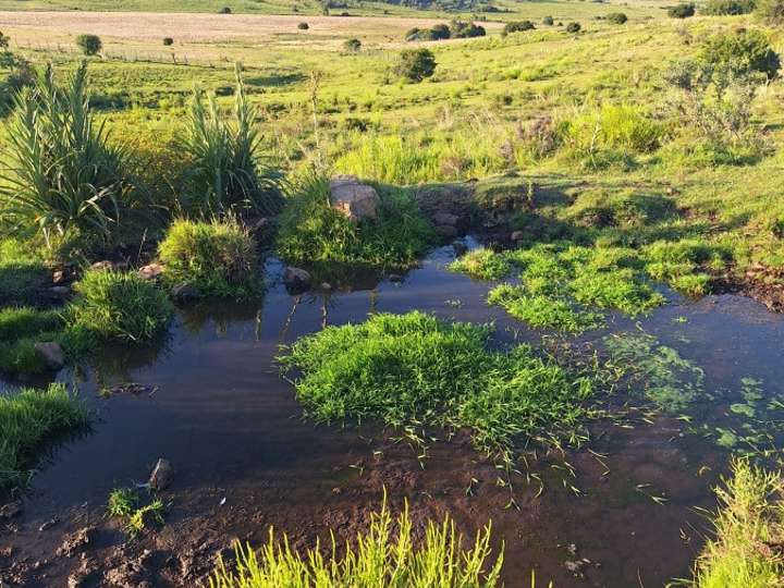 Granja en venta en Maldonado