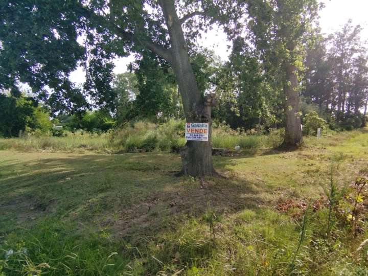 Terreno en venta en El Chorro