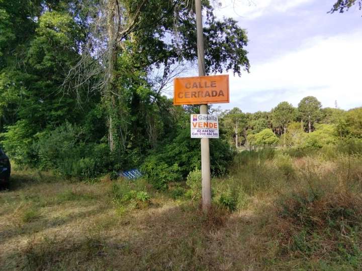 Terreno en venta en El Chorro