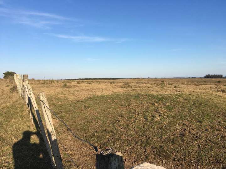 Granja en venta en Maldonado