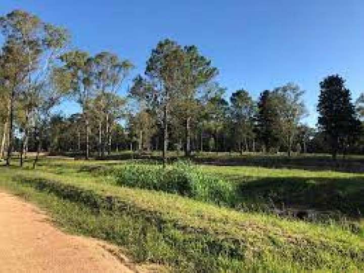 Terreno en venta en Honduras, Maldonado