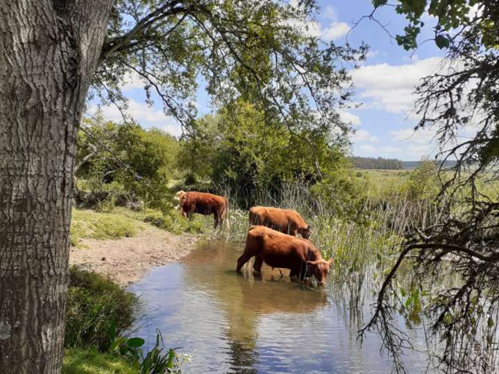 Granja en venta en Maldonado