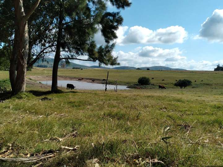 Granja en venta en Maldonado