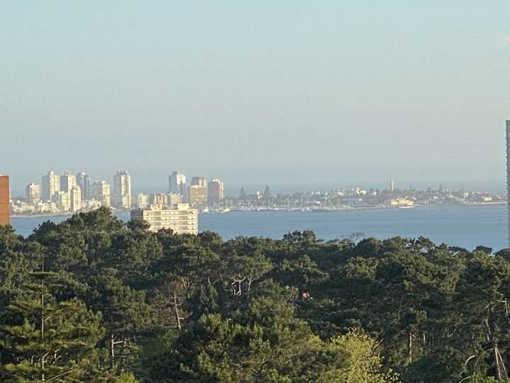 Apartamento en venta en Maldonado