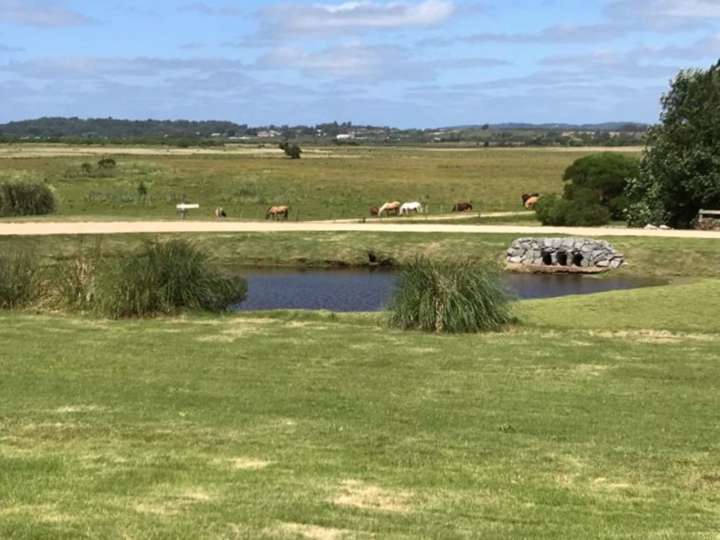 Casa en alquiler en Maldonado