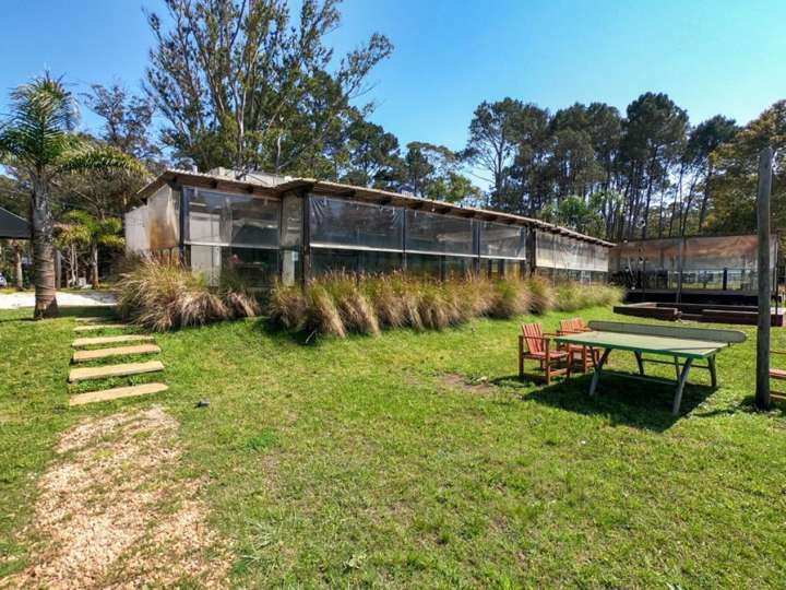 Comercial / Tienda en alquiler en Maldonado