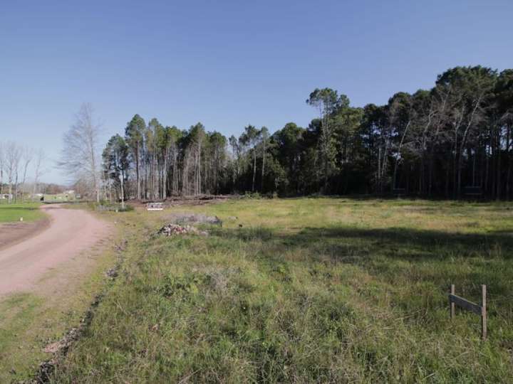 Terreno en venta en Maldonado