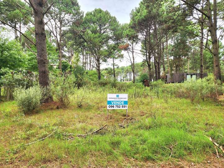 Terreno en venta en Laguna del Diario, Maldonado