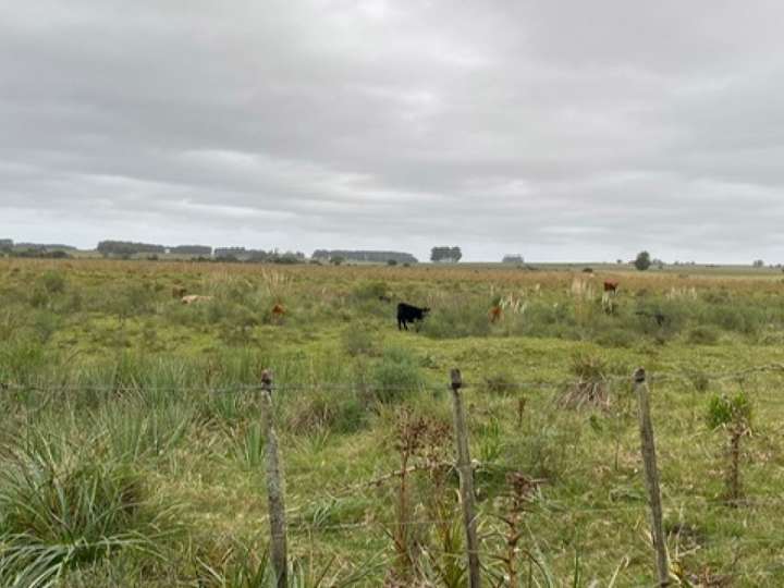 Granja en venta en Rocha