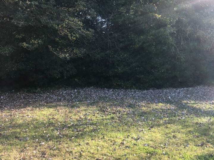 Terreno en venta en Punta Del Este