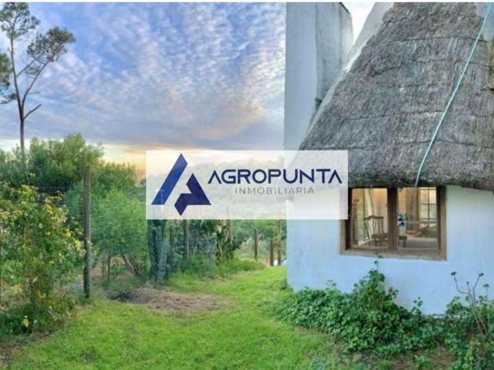 Casa en venta en Punta Del Este