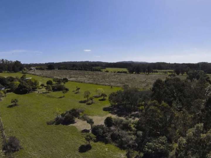 Terreno en venta en Punta Ballena