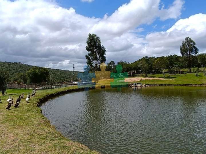 Granja en venta en Pan de Azúcar