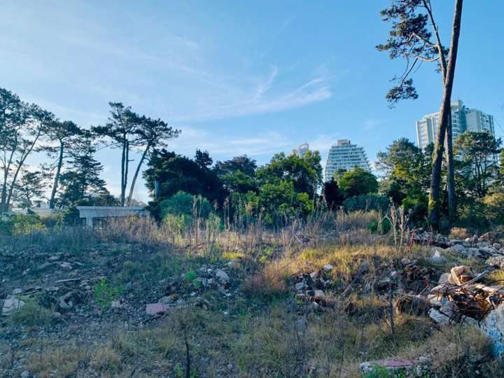 Terreno en venta en Rambla Doctor Claudio Williman, Maldonado