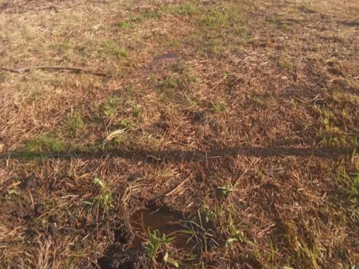 Terreno en venta en Buenos Aires