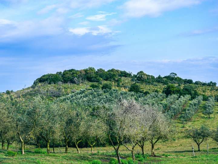 Granja en venta en Maldonado