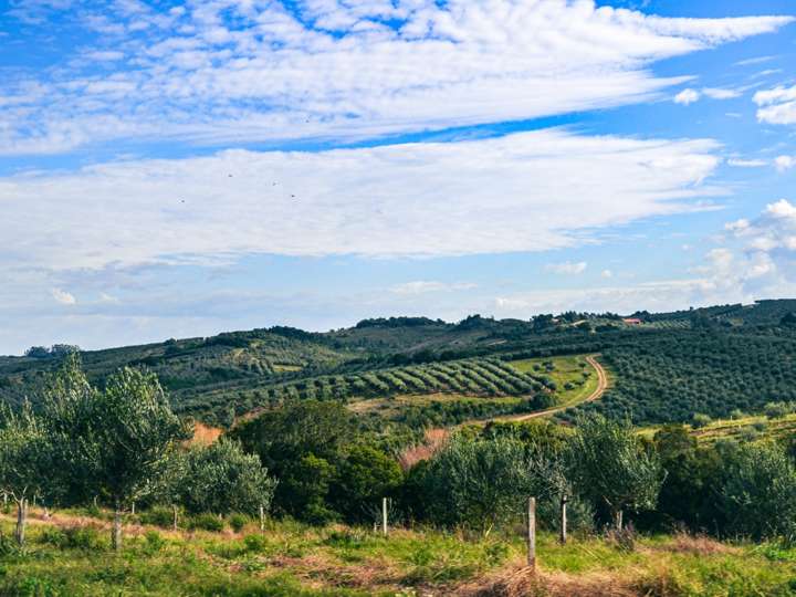 Granja en venta en Maldonado
