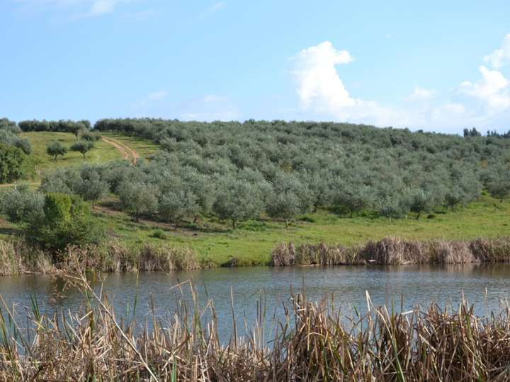 Granja en venta en Maldonado
