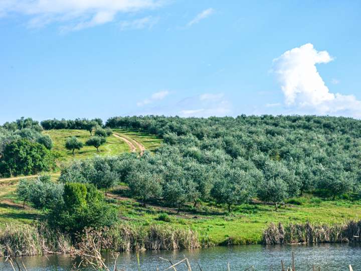 Granja en venta en Maldonado