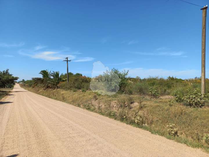 Granja en venta en Camino Franco, Sauce