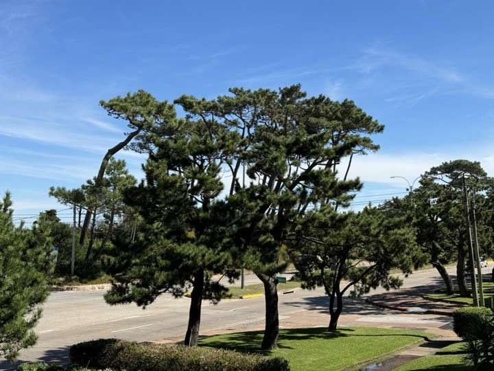 Apartamento en venta en Punta Del Este