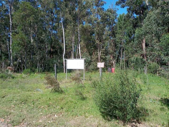 Terreno en venta en La Fusta, Maldonado