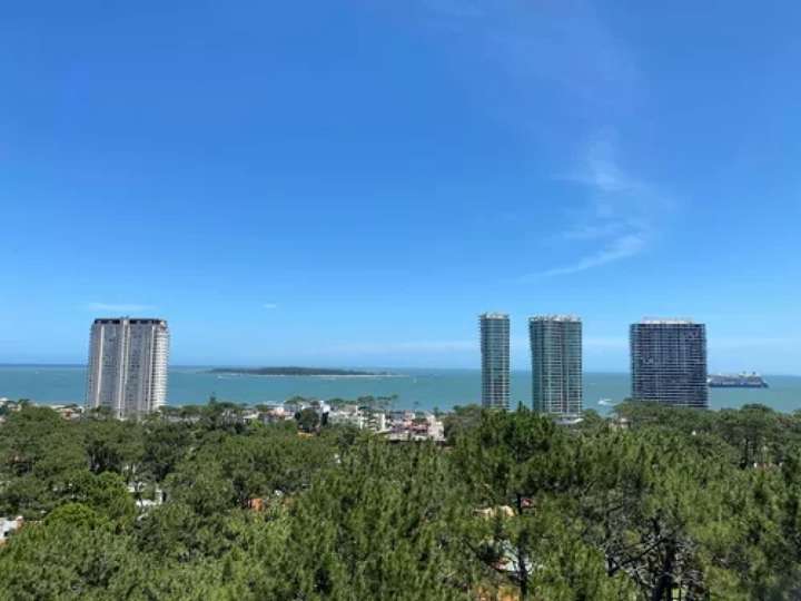 Apartamento en venta en Punta Del Este
