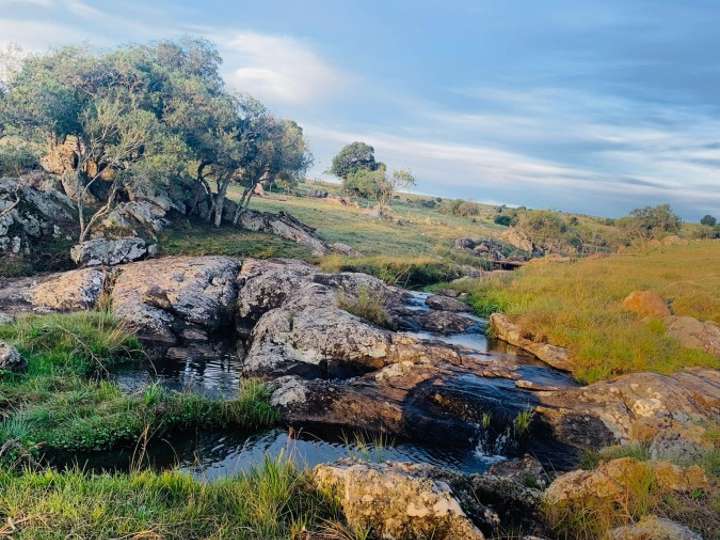 Granja en venta en Maldonado