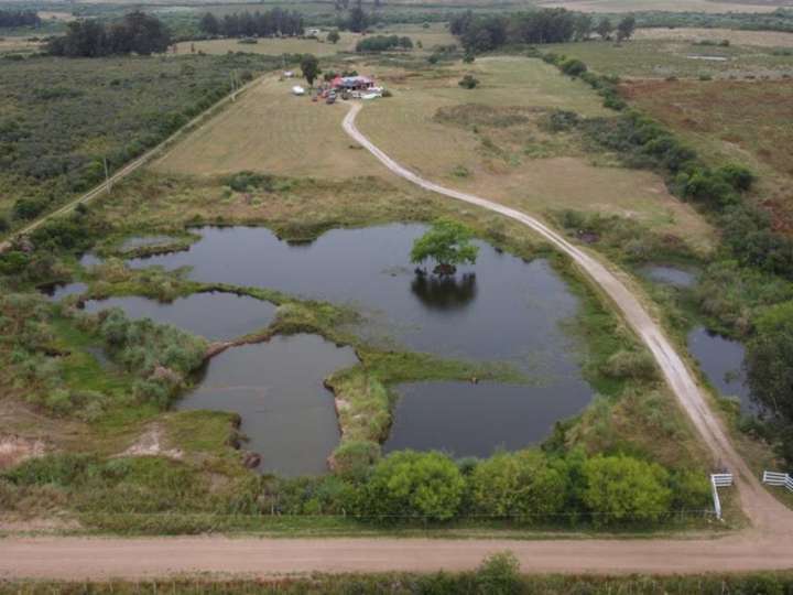 Granja en venta en General Fructuoso Rivera, Pan de Azúcar