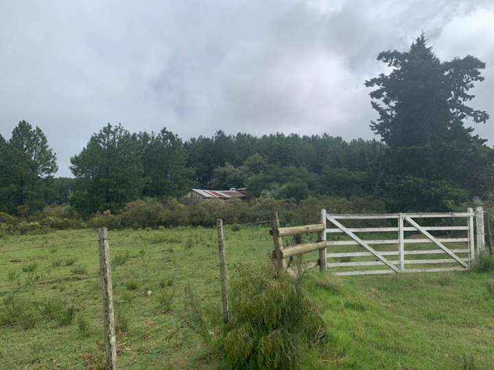 Granja en venta en Maldonado