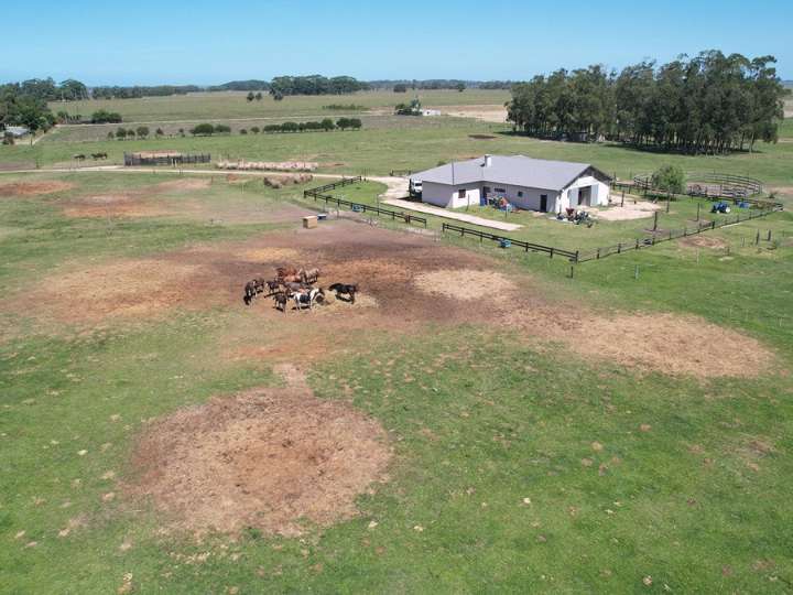 Granja en venta en Rocha