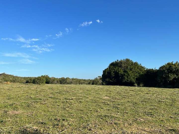 Granja en venta en Maldonado