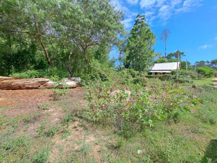 Terreno en venta en La Paloma