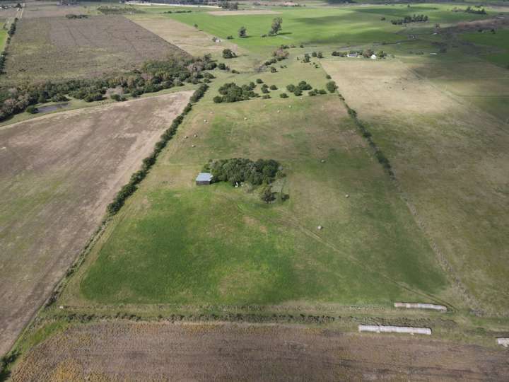 Granja en venta en Máximo Tajes, Los Cerrillos