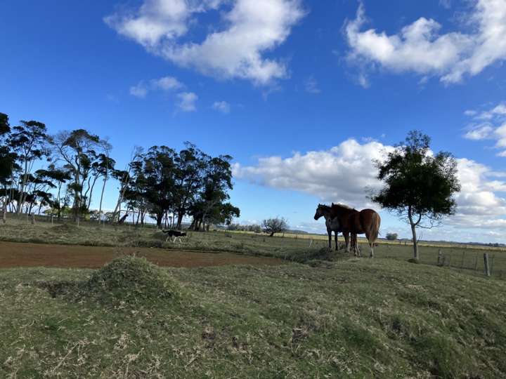 Granja en venta en Rocha