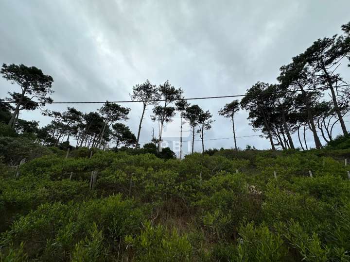 Terreno en venta en La Baluma, Maldonado