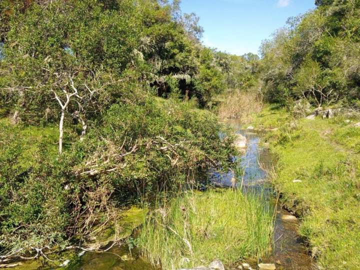 Granja en venta en Maldonado