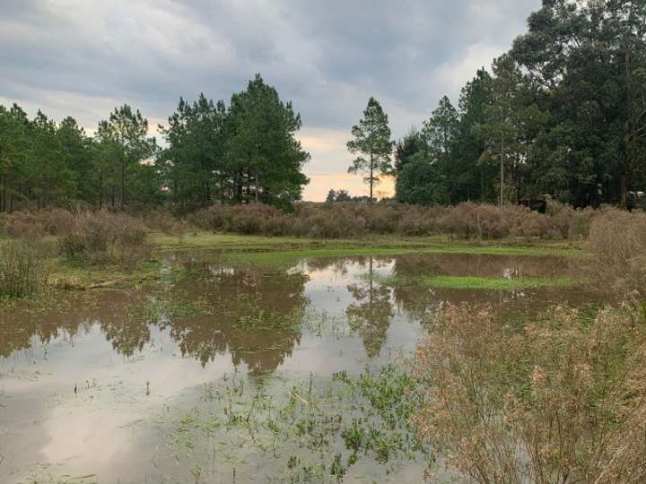 Granja en venta en Maldonado