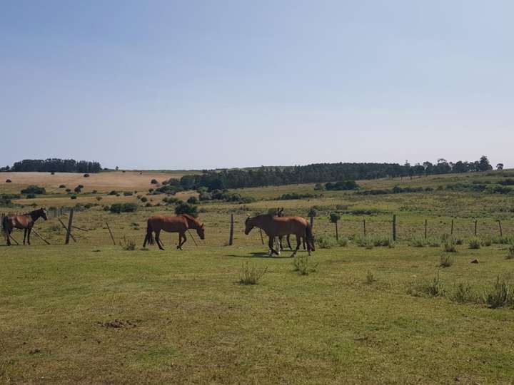 Granja en venta en Maldonado