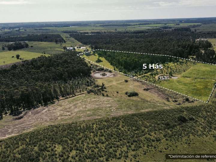 Granja en venta en Maldonado