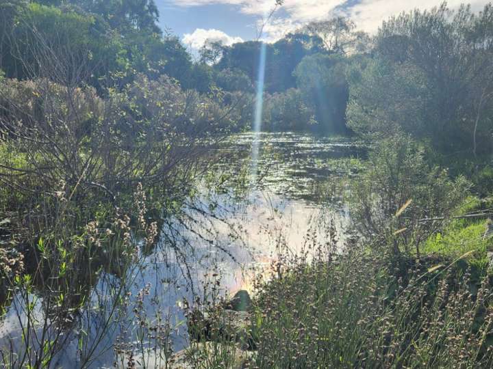 Granja en venta en Maldonado