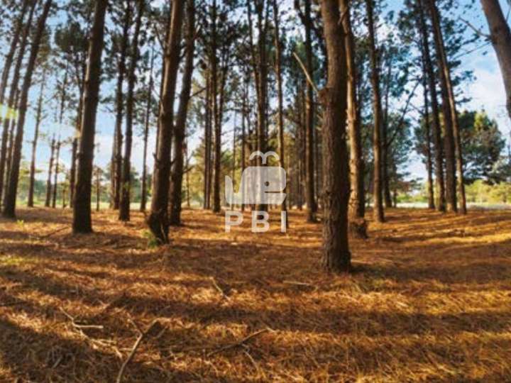 Terreno en venta en El Quebracho, Maldonado