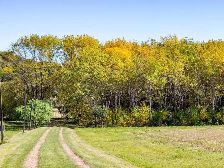 Granja en venta en Camino Sanguinetti, Montevideo